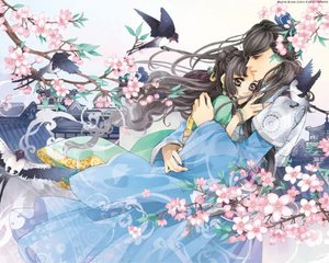 深入了解 蜜芽跳转接口点击直接进入